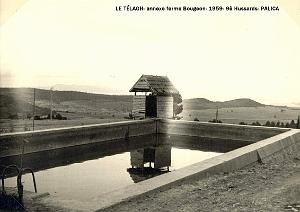 Palica - C- Le Telagh 022